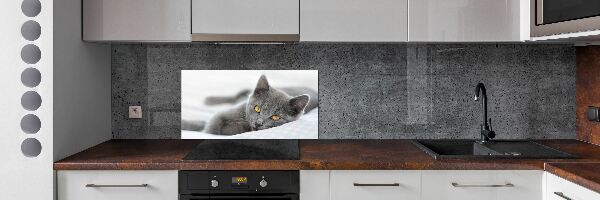 Panel między meble w kuchni Szary kot