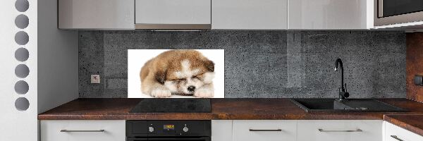 Panel do kuchni Szczeniak Akita