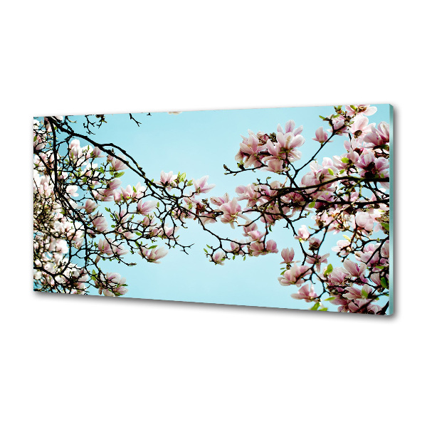 Panel do kuchni Kwiaty magnolii
