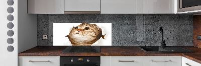 Panel szkło hartowane do kuchni Kot