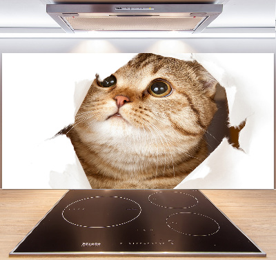 Panel szkło hartowane do kuchni Kot