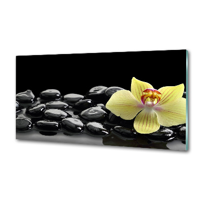 Panel między meble w kuchni Orchidea