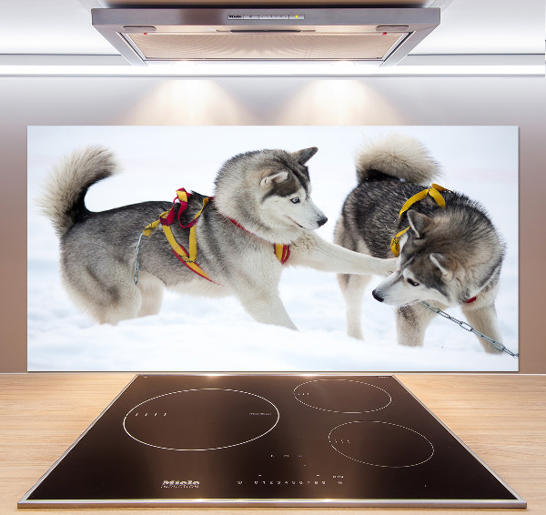 Panel dekor szkło Husky zimą