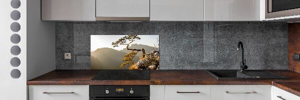 Panel do kuchni Sokolica Pieniny