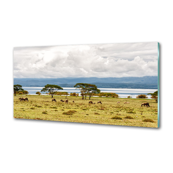 Panel do kuchni Jezioro Naivasha