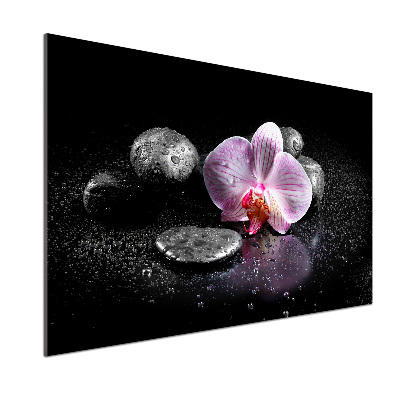 Panel między meble w kuchni Orchidea