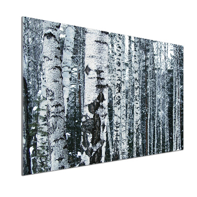 Panel do kuchni Drzewa brzozy