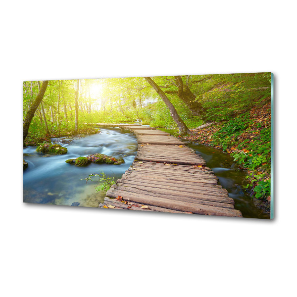 Panel do kuchni Ścieżka w lesie