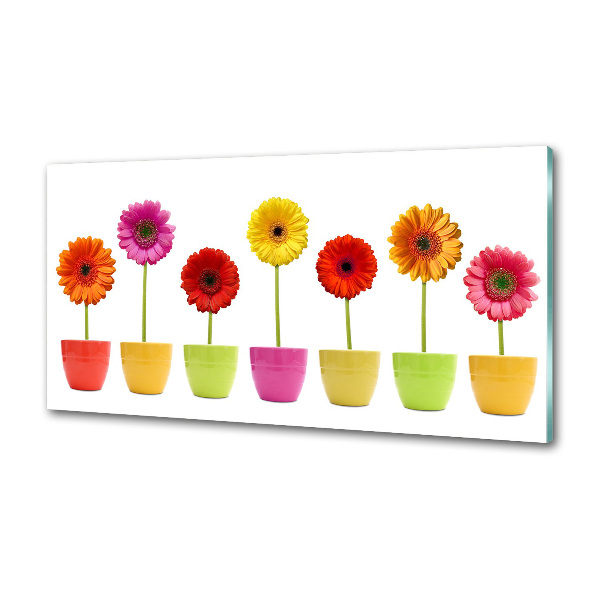 Panel do kuchni Kolorowe gerbery