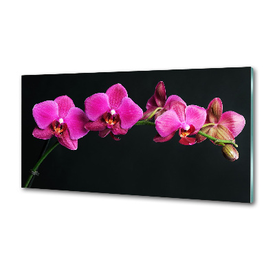 Panel między meble w kuchni Orchidea