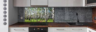 Panel dekor szkło Brzozowy las