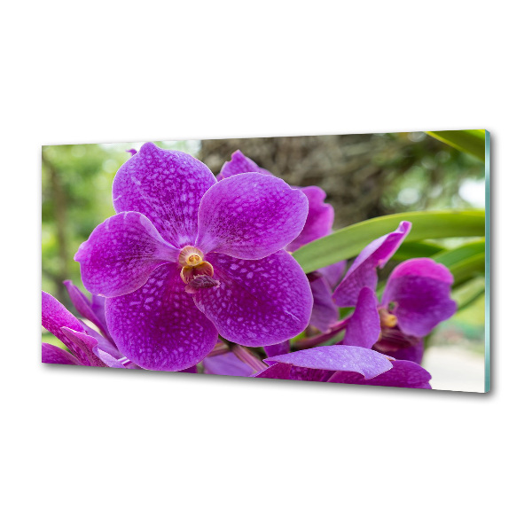 Panel między meble w kuchni Orchidea
