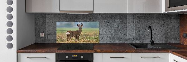 Panel szklany do kuchni Sarna