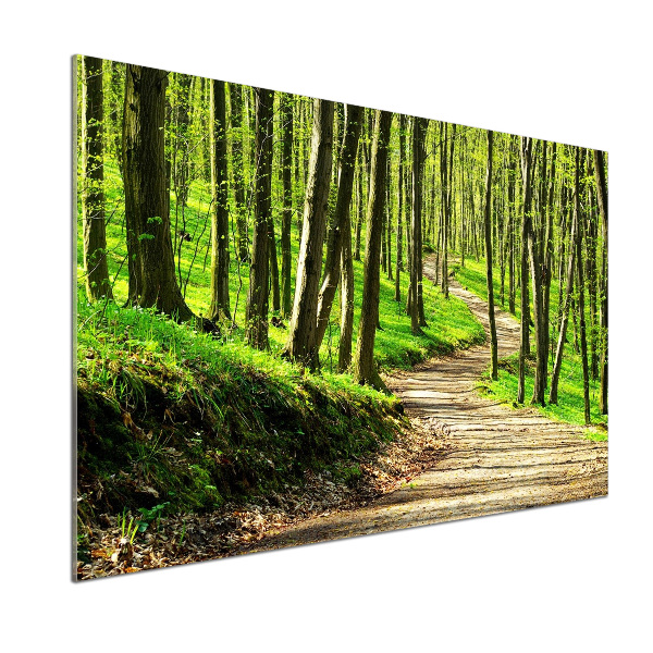 Panel do kuchni Ścieżka w lesie
