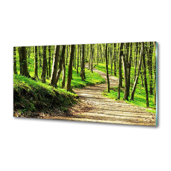 Panel do kuchni Ścieżka w lesie