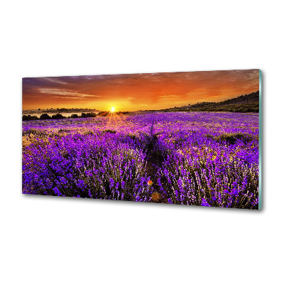Panel dekor szkło Pole lawendy
