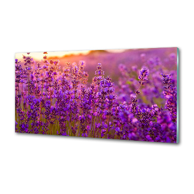 Panel dekor szkło Pole lawendy