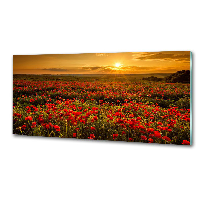 Panel dekor szkło Pole maków