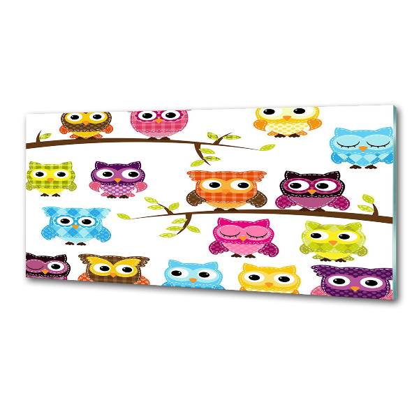 Panel do kuchni Kolorowe sowy