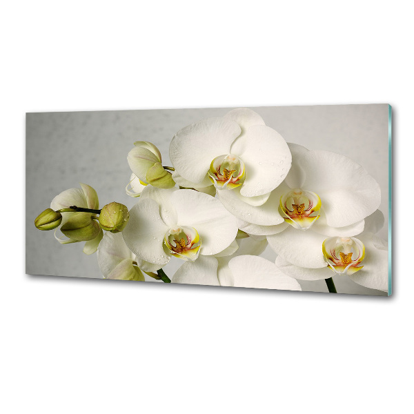 Panel do kuchni Biała orchidea
