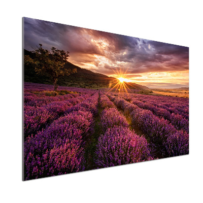 Panel dekor szkło Pole lawendy