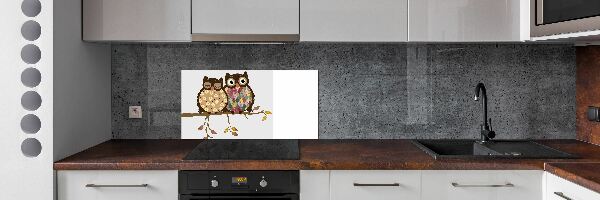 Panel lacobel Dwie sowy na gałęzi