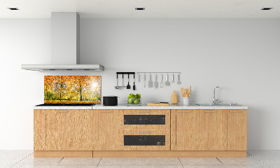Panel dekor szkło Las jesienią