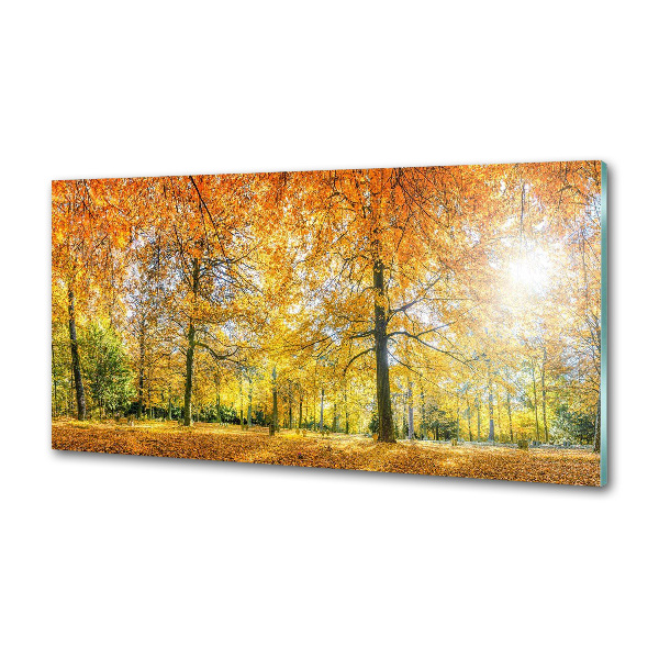 Panel dekor szkło Las jesienią