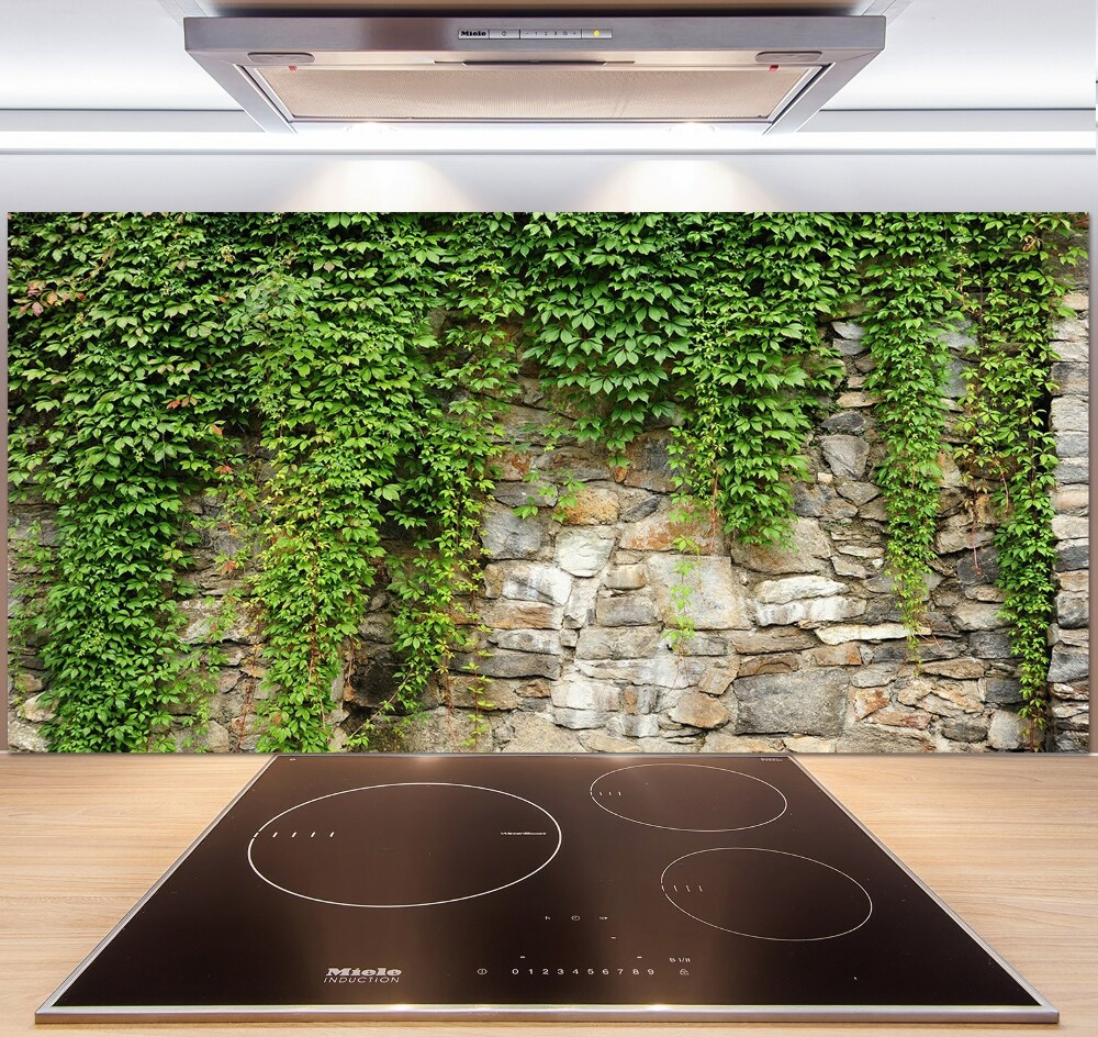 Panel do kuchni Zielony bluszcz