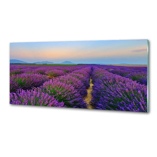 Panel dekor szkło Pole lawendy