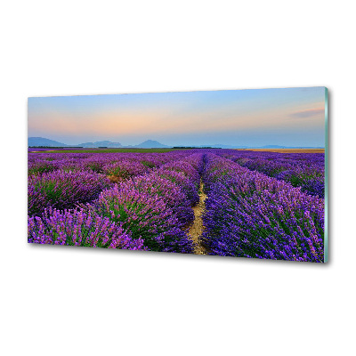 Panel dekor szkło Pole lawendy