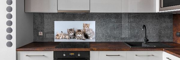 Panel dekor szkło Pięć kotów