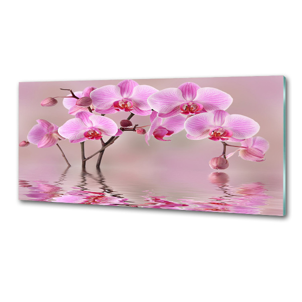 Panel do kuchni Różowa orchidea