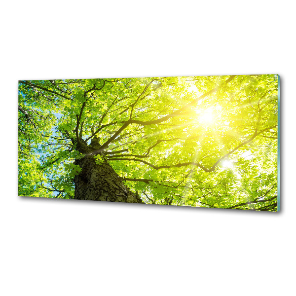 Panel do kuchni Kasztan wiosną