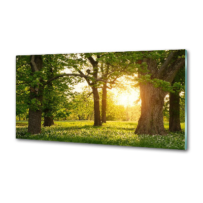 Panel do kuchni Drzewa w parku