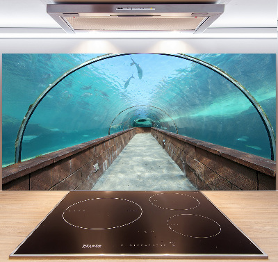 Panel do kuchni Tunel akwarium