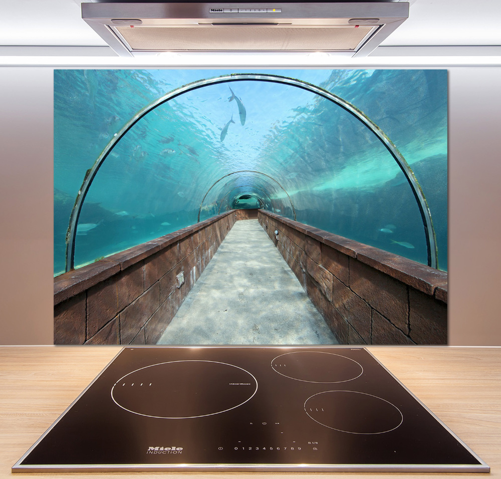 Panel do kuchni Tunel akwarium