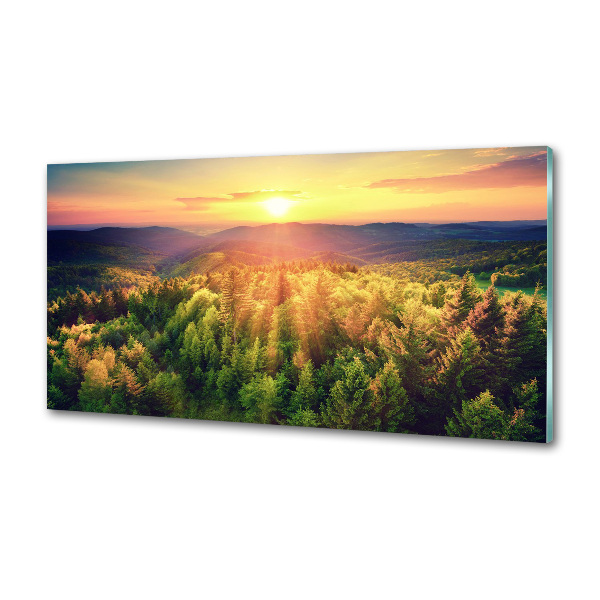 Panel do kuchni Las zachód słońca