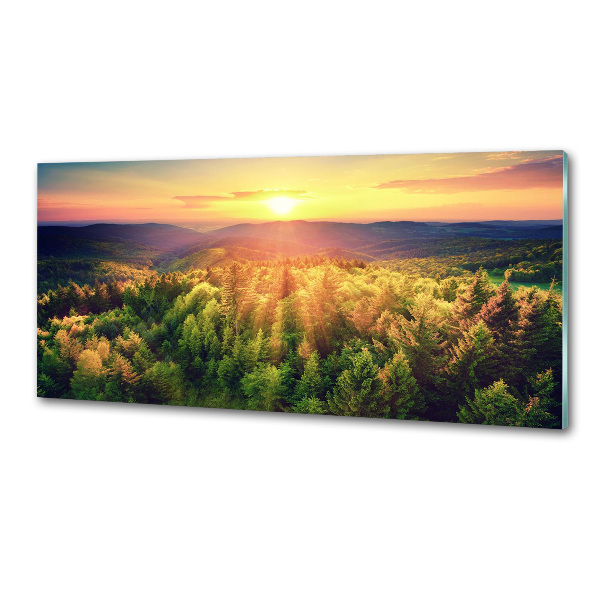 Panel do kuchni Las zachód słońca