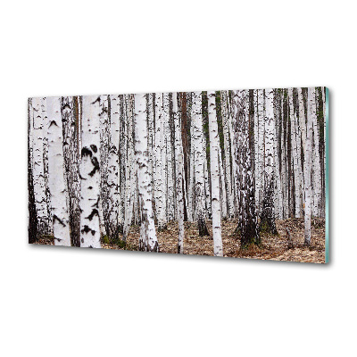 Panel szklany do kuchni Brzoza