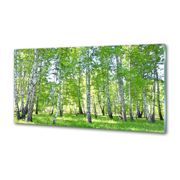 Panel szklany do kuchni Brzozy