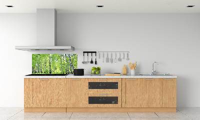 Panel dekor szkło Las brzozowy