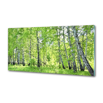 Panel dekor szkło Las brzozowy