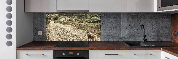 Panel do kuchni Dwa psy na wzgórzu