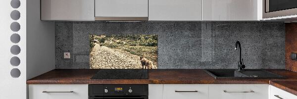 Panel do kuchni Dwa psy na wzgórzu
