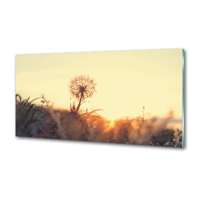 Panel dekor szkło Dmuchawiec