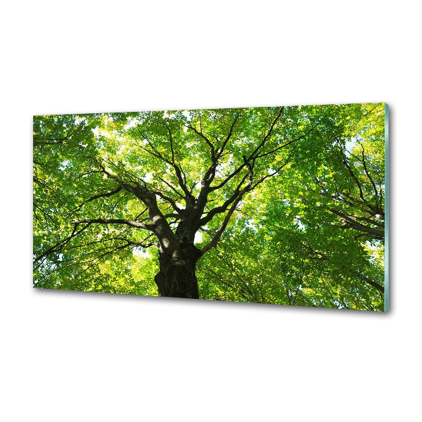 Panel dekor szkło Zielony las
