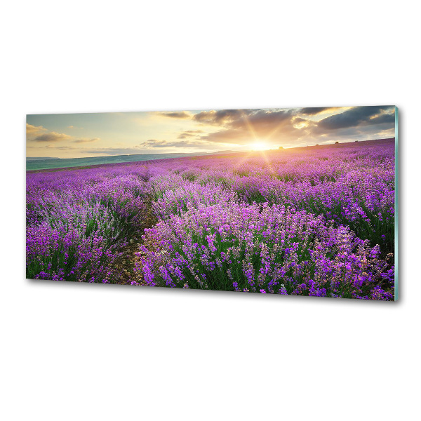 Panel dekor szkło Pole lawendy