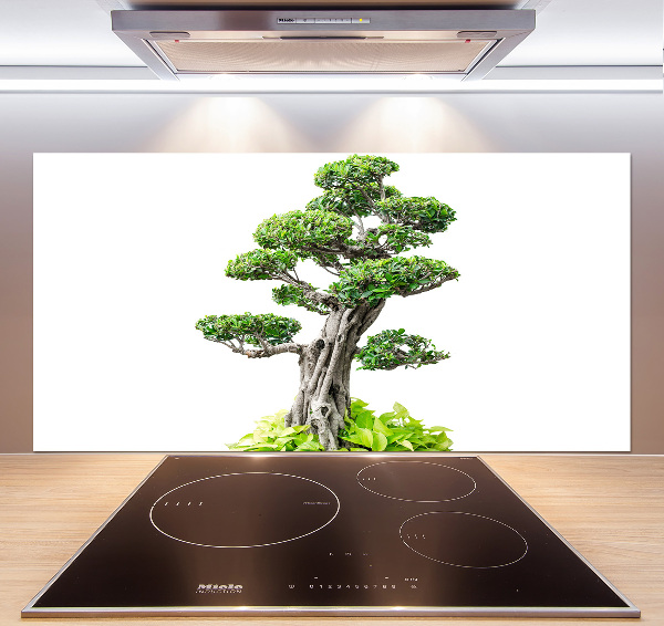Panel do kuchni Drzewo bonsai