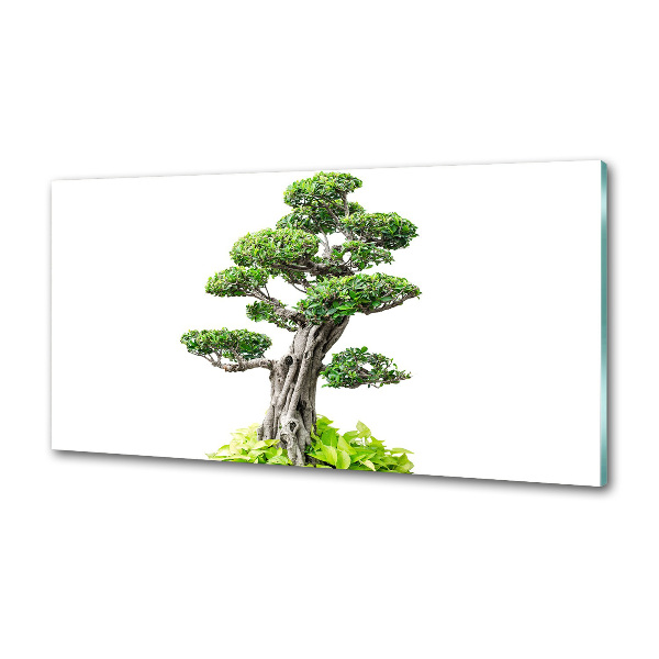 Panel do kuchni Drzewo bonsai